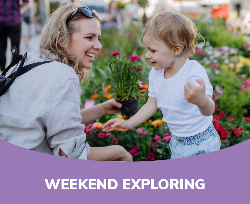 Weekend Exploring